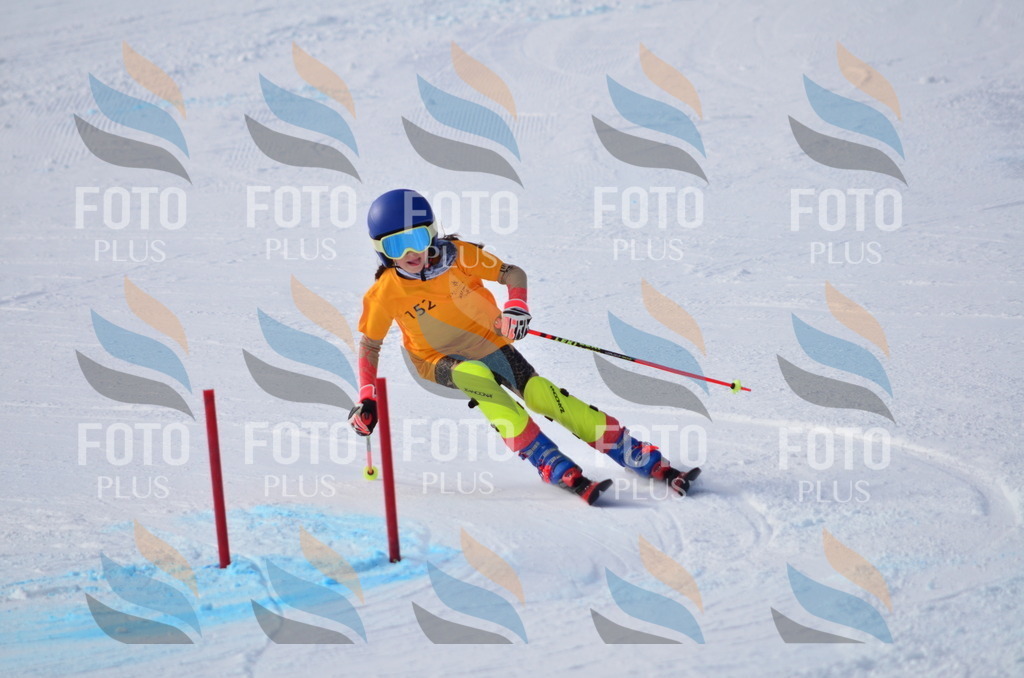 C7770 | holidayphoto