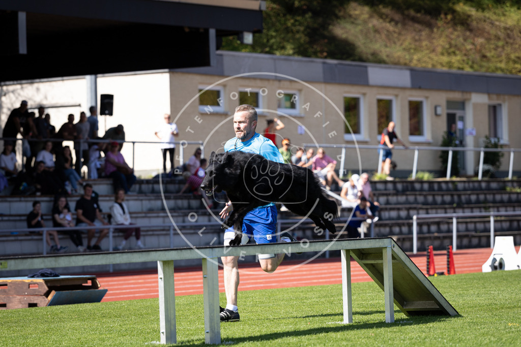 Pfotenfotografie_DV3A9323 | Hundefotografie, Tierfotograf, Pfotenfotografie, Fotoshooting Hund, Hunde Portrait, Hundesport, Hundeportraits, Heideshooting, Hunde, Sportfotograf, Hundefotograf, Turnierhundsport, THS,  - Realisiert mit Pictrs.com