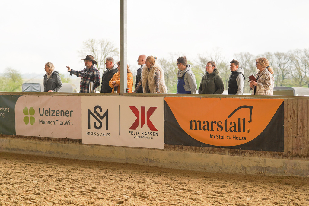 DSC00787 | Pferdegrafie