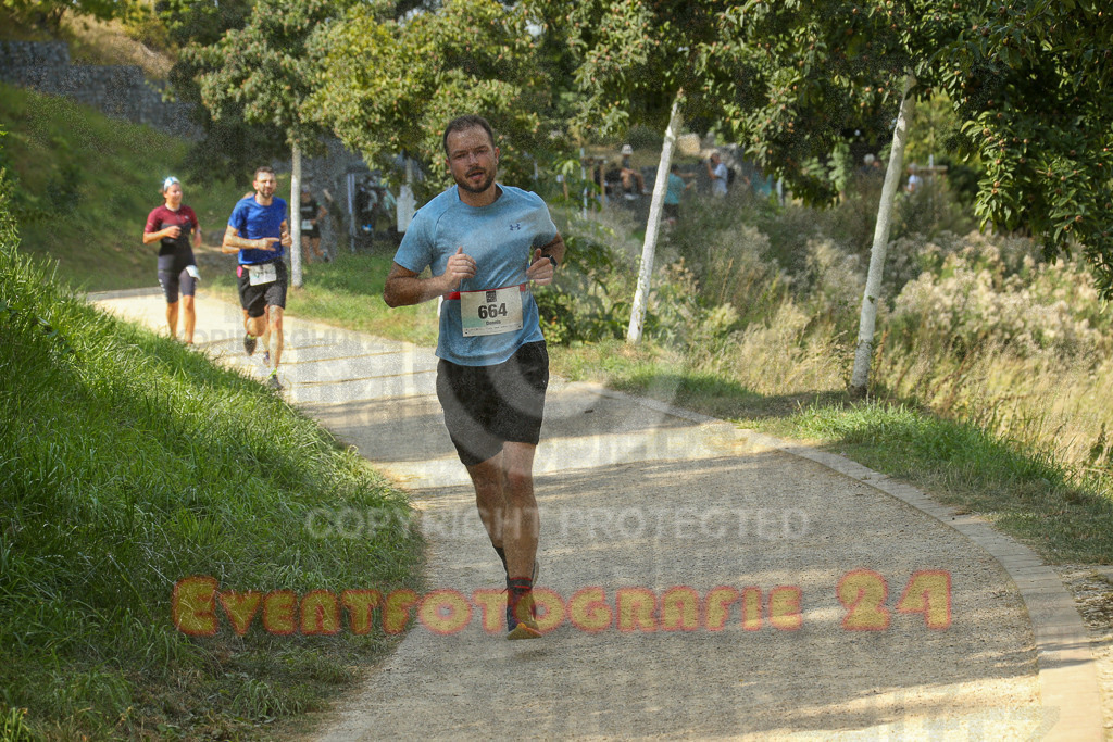 250824_1448_EX1_7649 | Sportfotografie im Rhein-Sieg Kreis, Köln, Bonn, NRW, Rheinland Pfalz, Hessen, etc. Unser Tätigkeitsfeld umfasst den Laufsport vom Volkslauf über den Marathon, Duathlon, Triathon bis zum Ultralauf wie Kölnpfad Ultra oder Schindertrail.