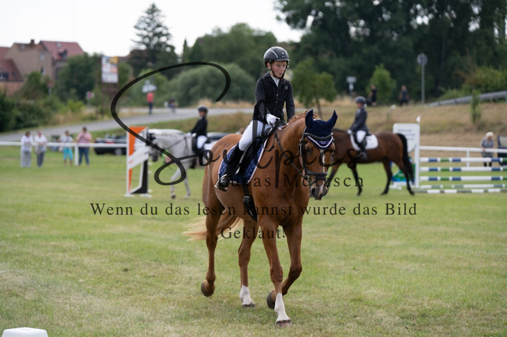 A7V00419 | Pferdefotograf