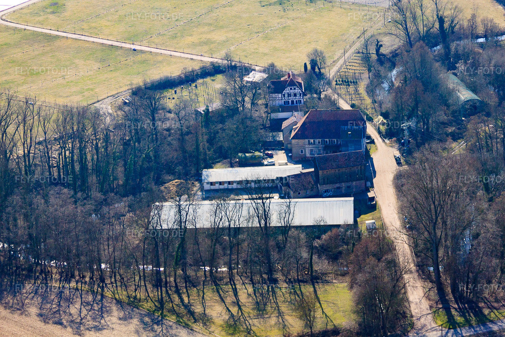 Luftbild: Wanzheimer Mühle in Rheinzabern im Bundesland Rheinland-Pfalz in Deutschland. Foto: IMG_48952.jpg vom 09.03.2012 durch Werner Riehm/FLY-FOTO.de