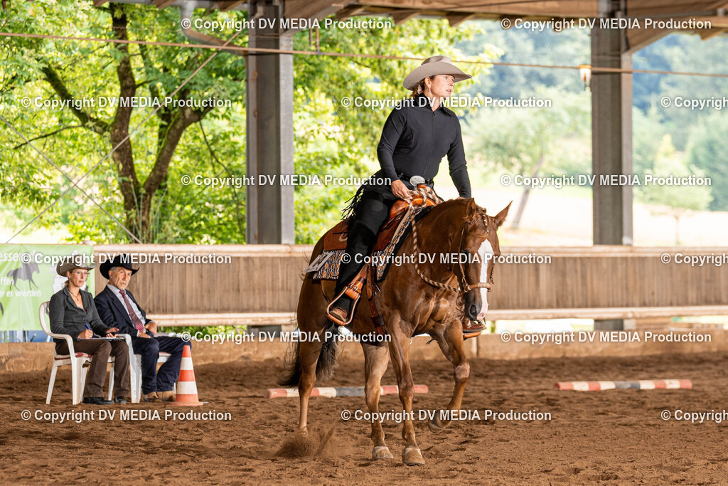 Erbach Tag 1-280 | dv-media-shop - Realisiert mit Pictrs.com