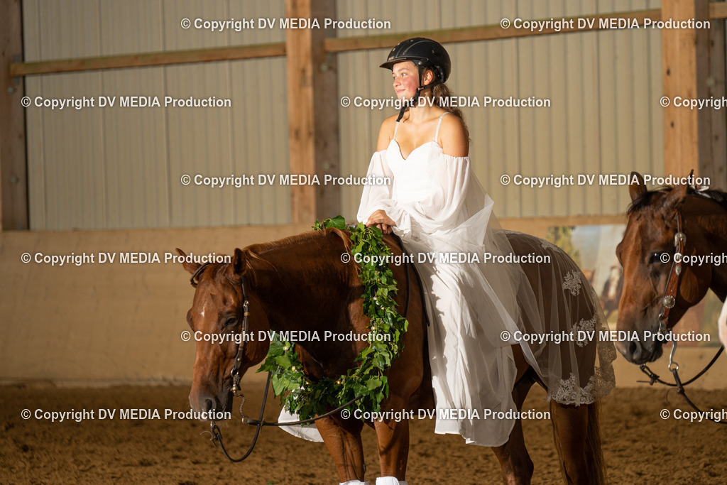 LAU01274 | dv-media-shop - Realisiert mit Pictrs.com