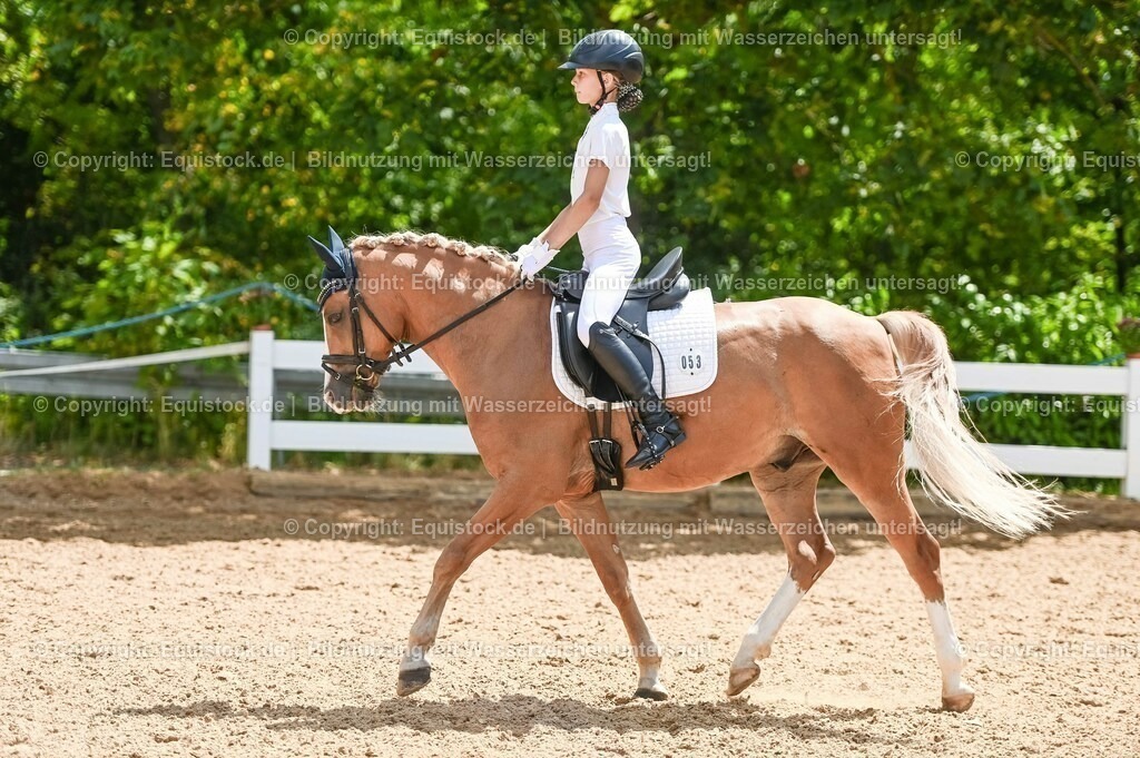 20230715_09_Dressur-WB_0243 | equistock