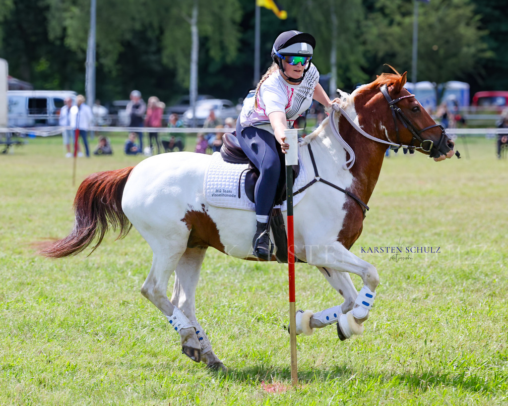 1B3A4378 | Reitsport Reiten