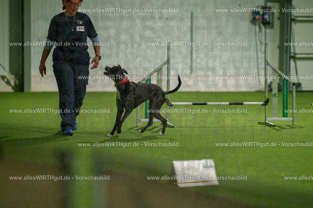 7R507415 | Professionelle Tierfotografie in Mönchengladbach von Daniel Wirth (allesWIRTHgut). Liebevolle & natürliche Bilder von Hunden & Katzen für unvergessliche Erinnerungen.