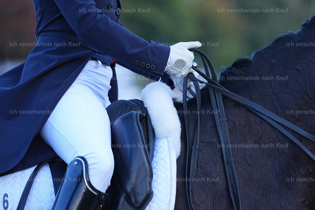 09_1-056-DRESSUR  S_  -Marixx-5635 | working equitationturnier fotograf videograf stoibphotography marixx film working equitation deutschland reitsport turnierfotografie eventfotografie equestrian events
