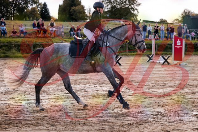 2026_10_03_Siefer-Hof_145055_Z81_29335010 | Professionelle Reitsport-, Turnier- und Eventfotografie von Robert Broda. Galerien mit ausgewählten und bearbeiteten Bildern direkt online ansehen und bestellen.