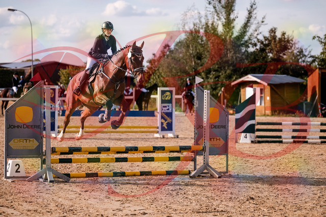 2026_10_03_Siefer-Hof_155538_Z81_74841550 | Professionelle Reitsport-, Turnier- und Eventfotografie von Robert Broda. Galerien mit ausgewählten und bearbeiteten Bildern direkt online ansehen und bestellen.