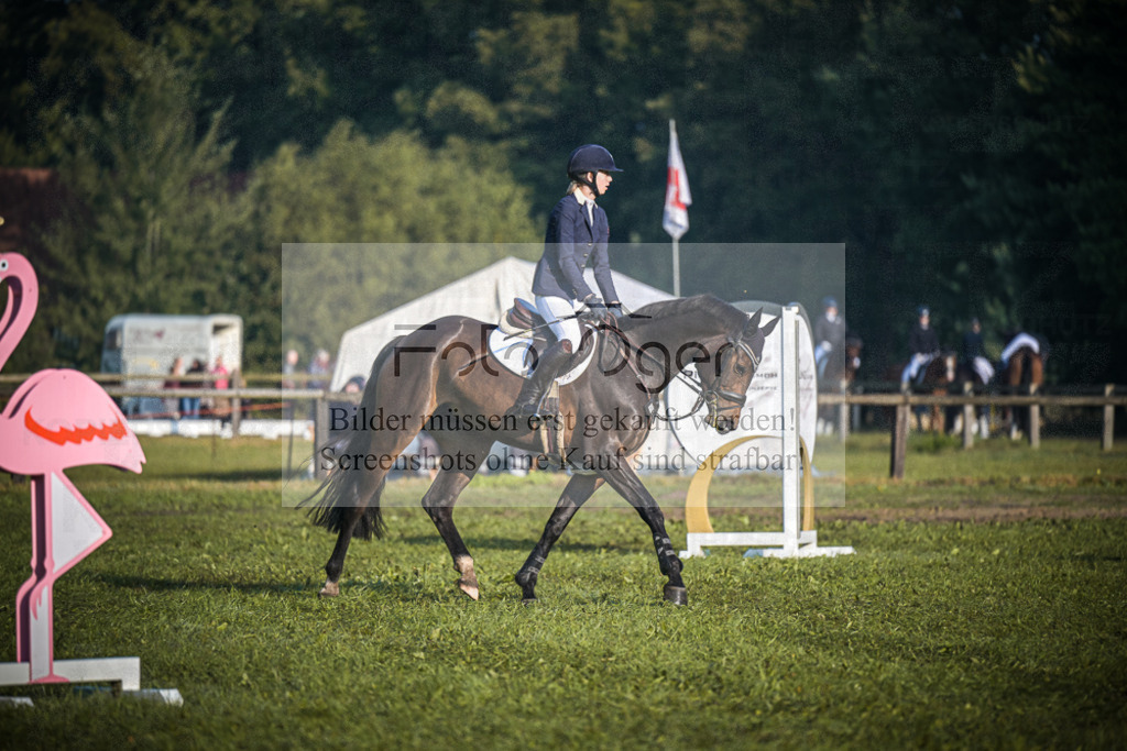 DOS_0550 | Entdecke hochwertige Reitturnierfotos von Foto Oger. Professionell, emotional und authentisch – jetzt Lieblingsmomente im Shop bestellen.Deutschlandweite Turnierfotografie. - Realisiert mit Pictrs.com