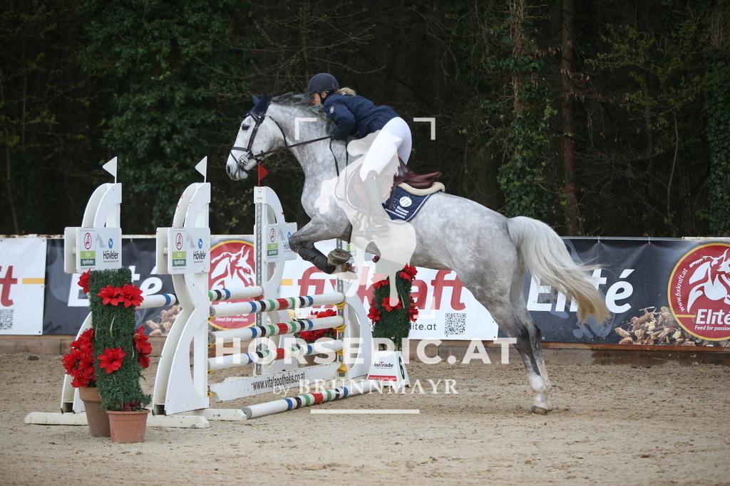AS8V1577 | Willkommen bei Brunnmayr - Design & Fotografie – Ihrem Spezialisten für Reitturniere und Pferdeveranstaltungen in Oberösterreich, Salzburg und Bayern! Seit über 17 Jahren sind wir leidenschaftlich dabei.