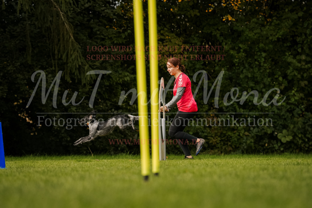 20251005_THS_Turnier-579 | MuT (Mensch und Tier) mit Mona - Fotografie und Tierkommunikation - Realisiert mit Pictrs.com