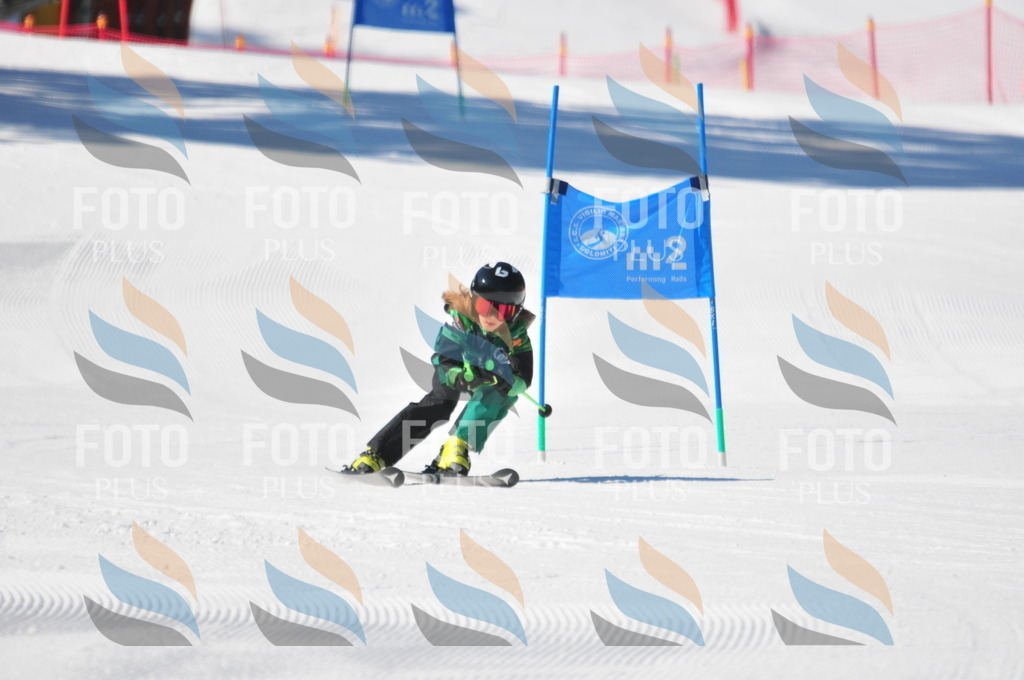 C2288 | holidayphoto