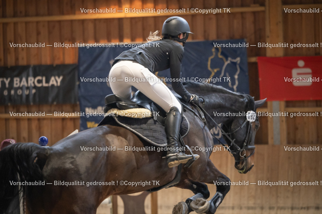 _D5A8383 | Emotionale Pferde- & People-Fotografie rund um Heidelberg, Leimen & Umgebung. Natürliche Fotos von Pferd, Mensch & Familie. Jetzt Termin sichern!