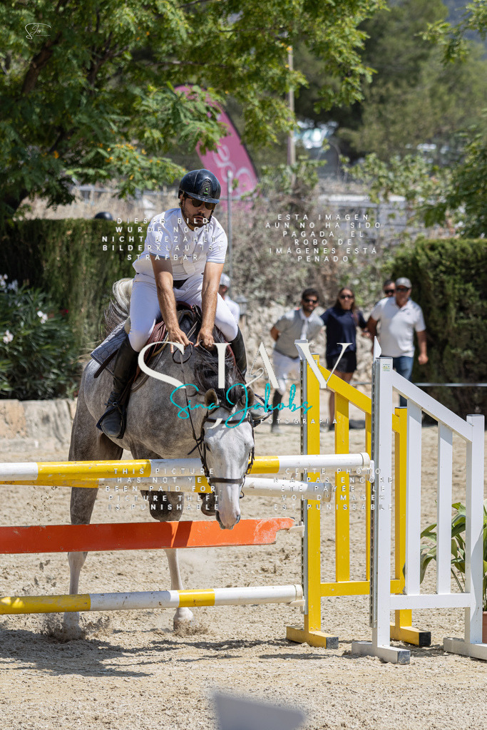 IMG_8036 | s-jay-photography - Realisiert mit Pictrs.com