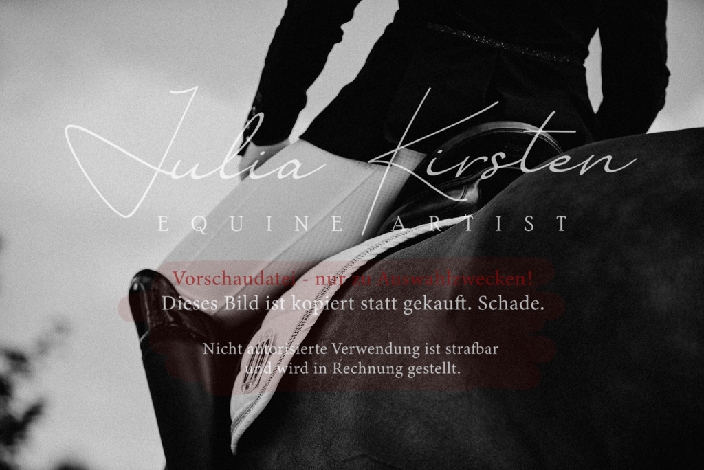 DSC_9143 | Pferde- und Turnierfotografie in Westsachsen. Pferdeportraits, Auftragszeichnungen und intuitive Kunst.