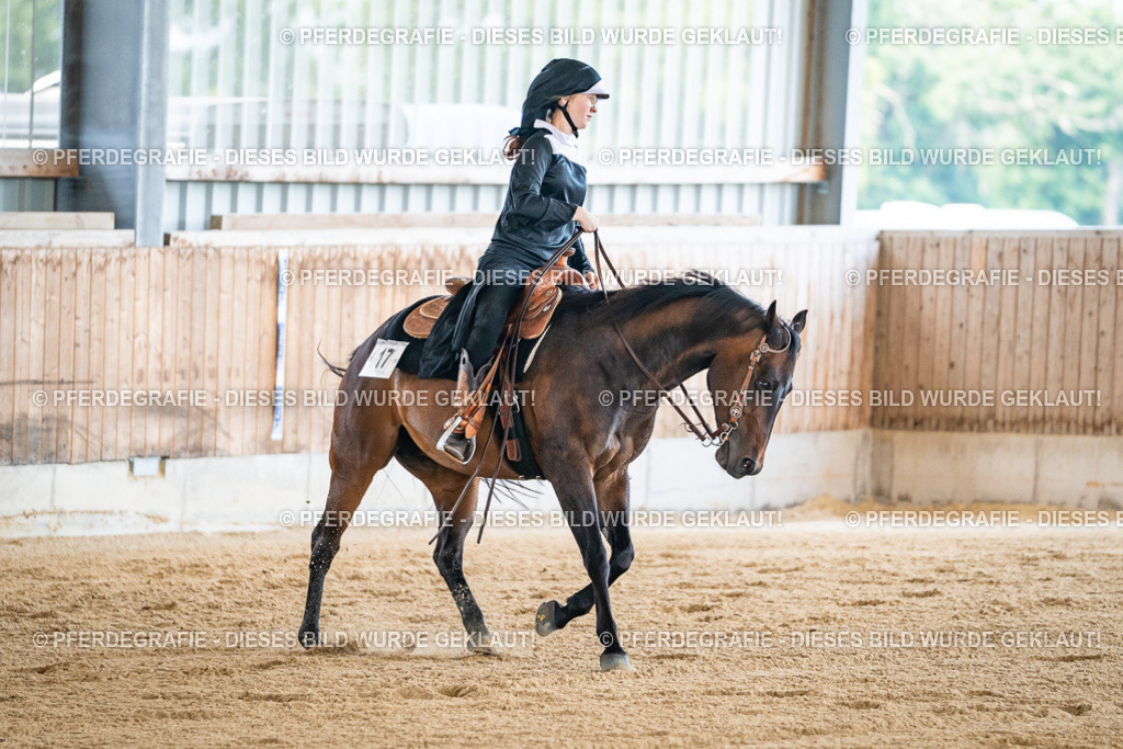 DSC04731 | Pferdegrafie