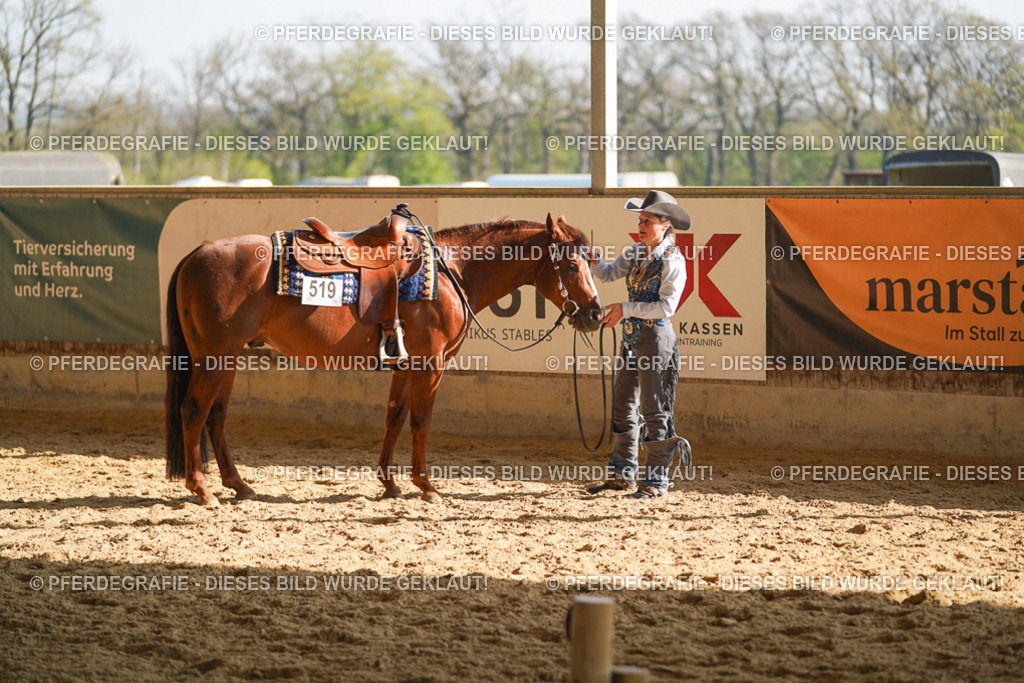 DSC09924 | Pferdegrafie