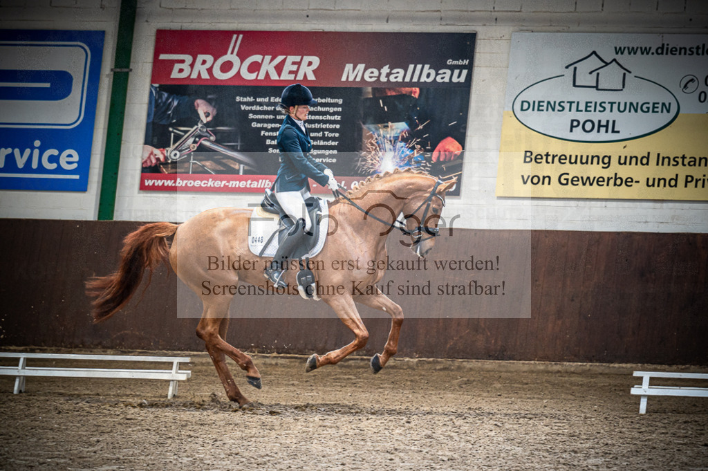 Hallenreittunier Voxtrup 2023 | Entdecke hochwertige Reitturnierfotos von Foto Oger. Professionell, emotional und authentisch – jetzt Lieblingsmomente im Shop bestellen.Deutschlandweite Turnierfotografie. - Realisiert mit Pictrs.com
