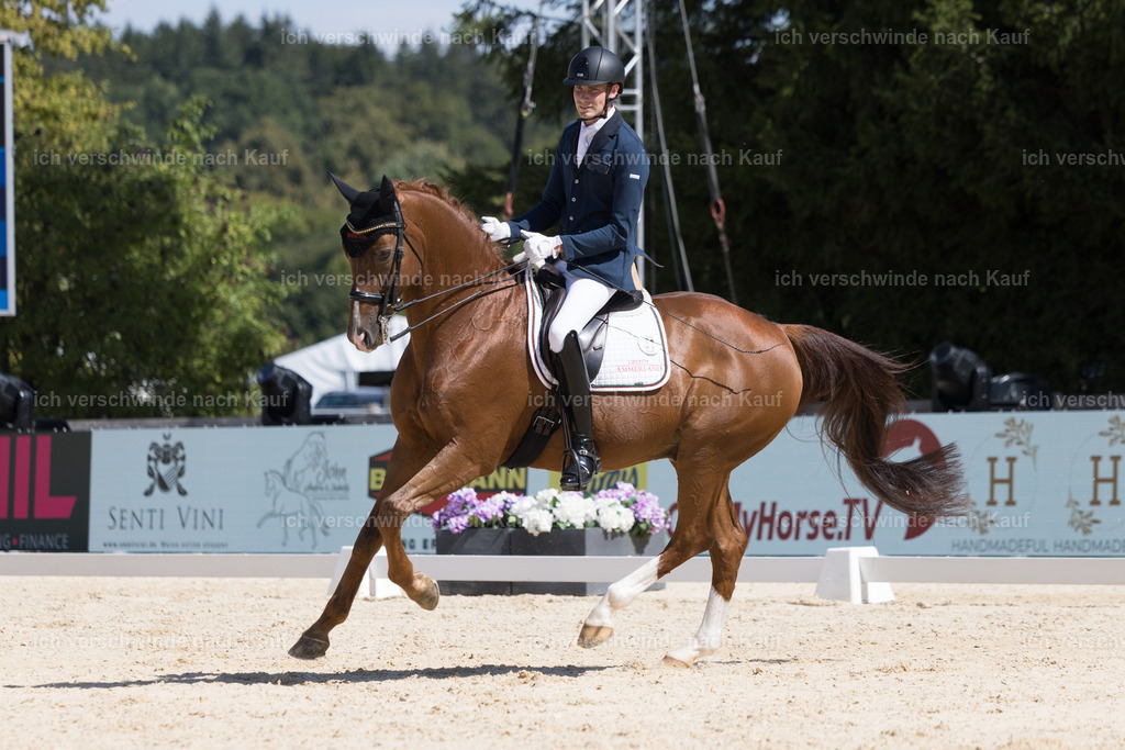 FHC2026_P02_86_13327 | Fichtenhof Classics 2026 – Dressurturnier, Reitanlage Fichtenhof, Schäftlarn