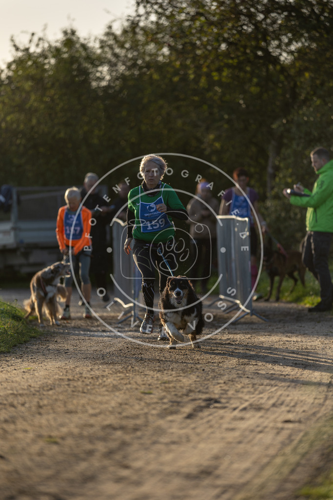 Pfotenfotografie.de_DV3A2568 | Hundefotografie, Tierfotograf, Pfotenfotografie, Fotoshooting Hund, Hunde Portrait, Hundesport, Hundeportraits, Heideshooting, Hunde, Sportfotograf, Hundefotograf, Turnierhundsport, THS, canicross - Realisiert mit Pictrs.com