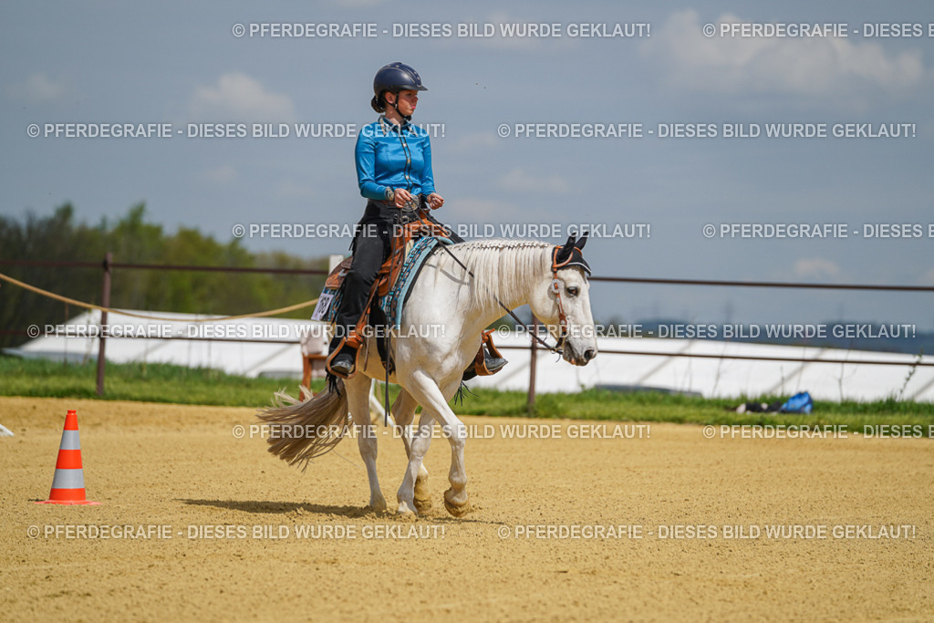 DSC05483 | Pferdegrafie