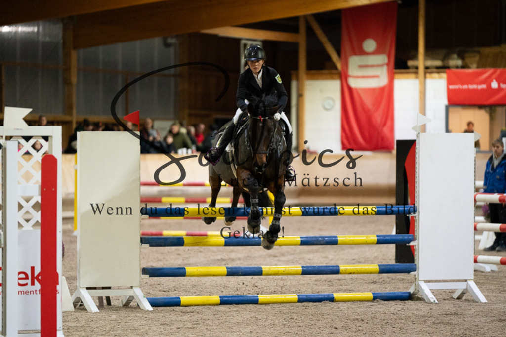 A7V03336 | Pferdefotograf