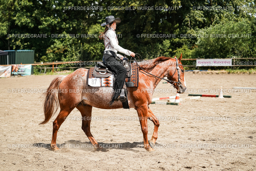 DSC07736 | Pferdegrafie