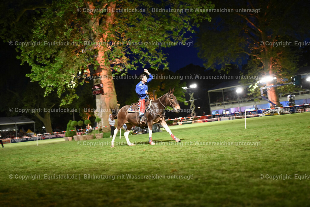 20230526_Pferdenacht_1351 | equistock