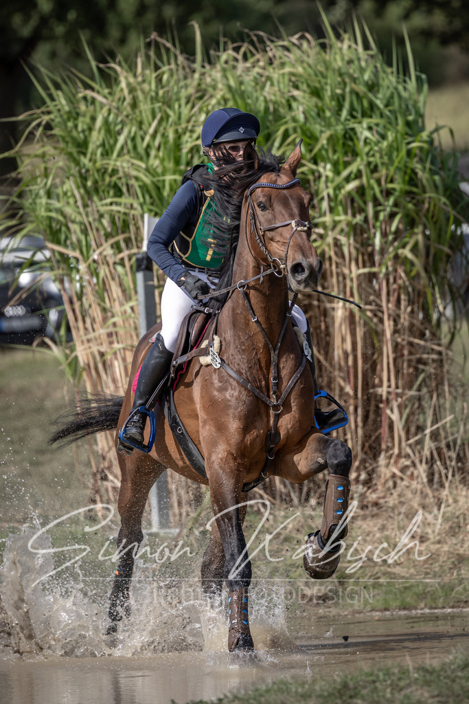 20250907-_3LI1440 | Tierfotografie Pferde, Hunde, Katzen, Haustiere.
Turnierfotografie Reitturniere, Reiten, Springreiten, Dressur in Hanau, dem Main-Kinzig-Kreis und dem Rhein-Main- Gebiet um Frankfurt