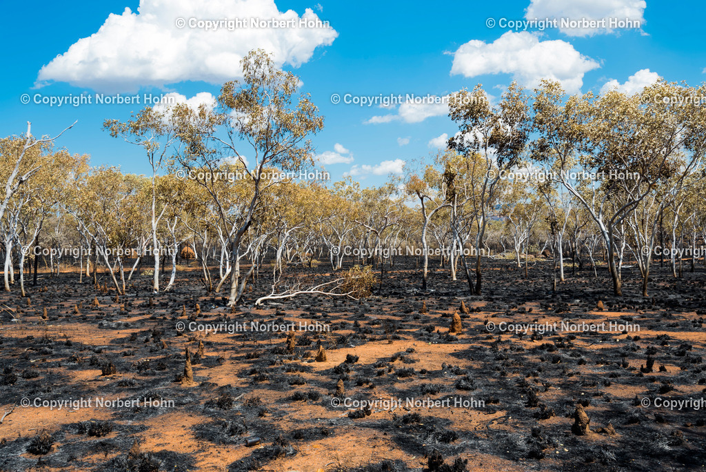 Reisefotografie - Australien - Der fünfte Kontinent | Buschfeuer am Rande des Elisabeth-Highway im Norden Australiens. - Realisiert mit Pictrs.com