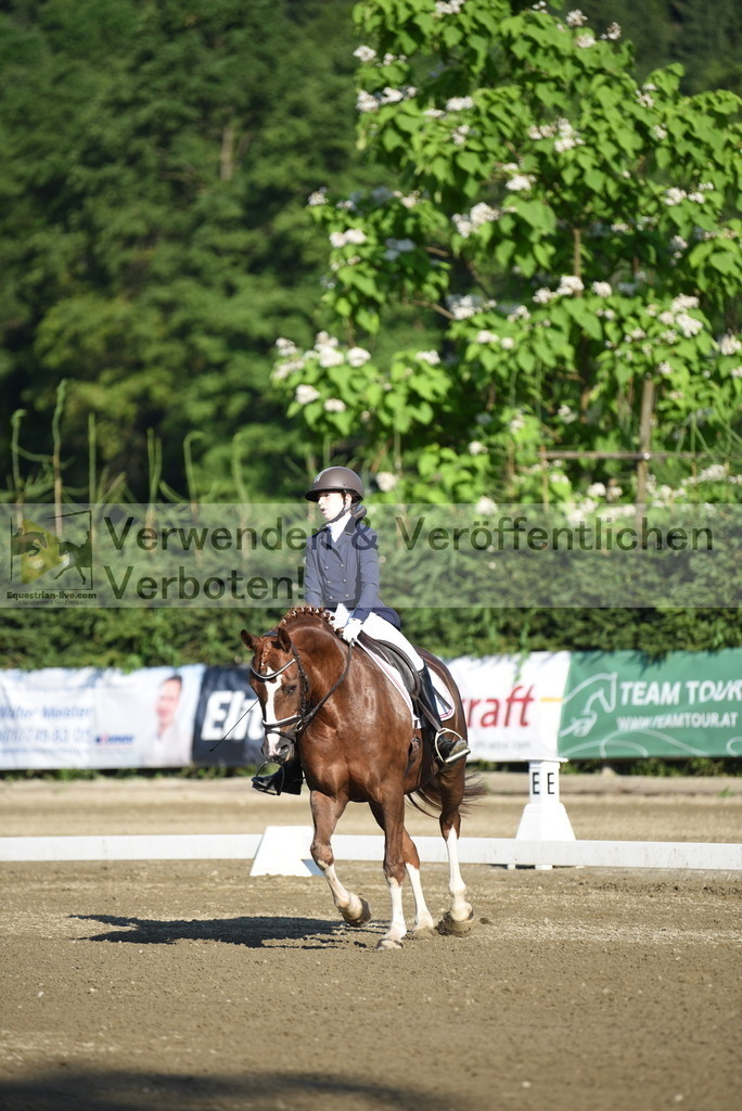 DSC_6777 | equestrian-live-com