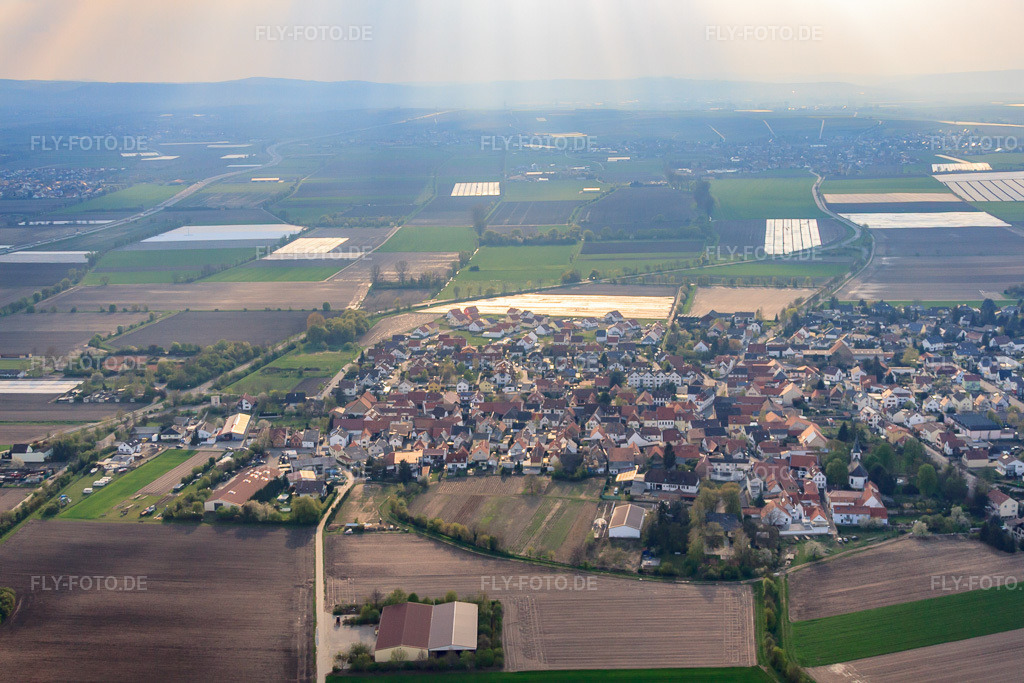 Luftbild: Ortsansicht von Osten in Heuchelheim bei Frankenthal im Bundesland Rheinland-Pfalz in Deutschland. Foto: IMG_49854.jpg vom 13.04.2012 durch Werner Riehm/FLY-FOTO.deAuflösung des Originals: 4752 x 3168 px