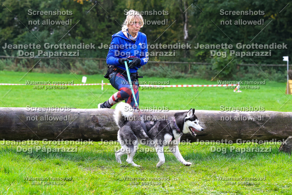 Dog Paparazzi -  SD1026-1921 | Dog Paparazzi Jeanette Grottendiek Fotografie & Videografie - Realisiert mit Pictrs.com