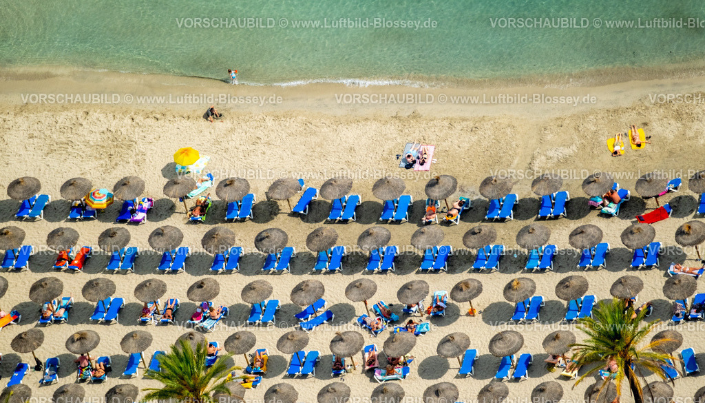 Mallorca230600309N | Luftbild, Strandleben mit Sonnenliegen und Sonnenschirmen, Strand von Palmira am Passeig Maritim de Palmira, Playa Palmira, Peguera, Calvia, Balearen, Mallorca, Balearische Inseln, Spanien