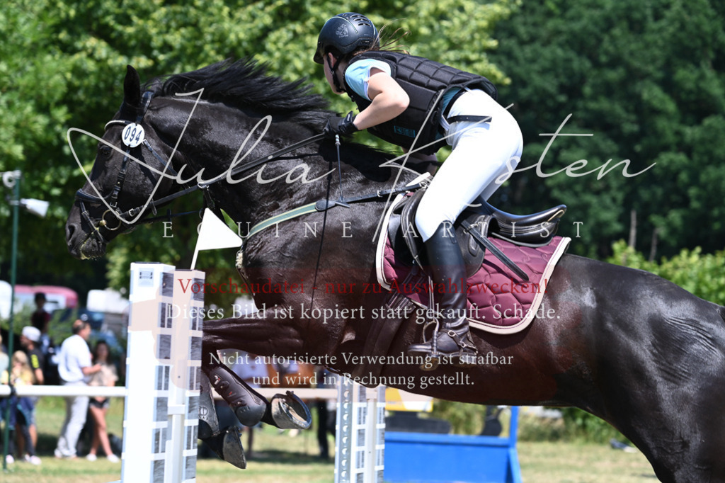 DSC_0705 | Pferde- und Turnierfotografie in Westsachsen. Pferdeportraits, Auftragszeichnungen und intuitive Kunst.