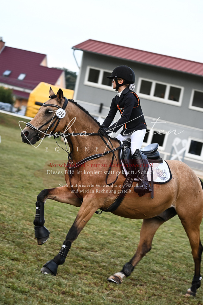 DSC_5621 | Pferde- und Turnierfotografie in Westsachsen. Pferdeportraits, Auftragszeichnungen und intuitive Kunst.