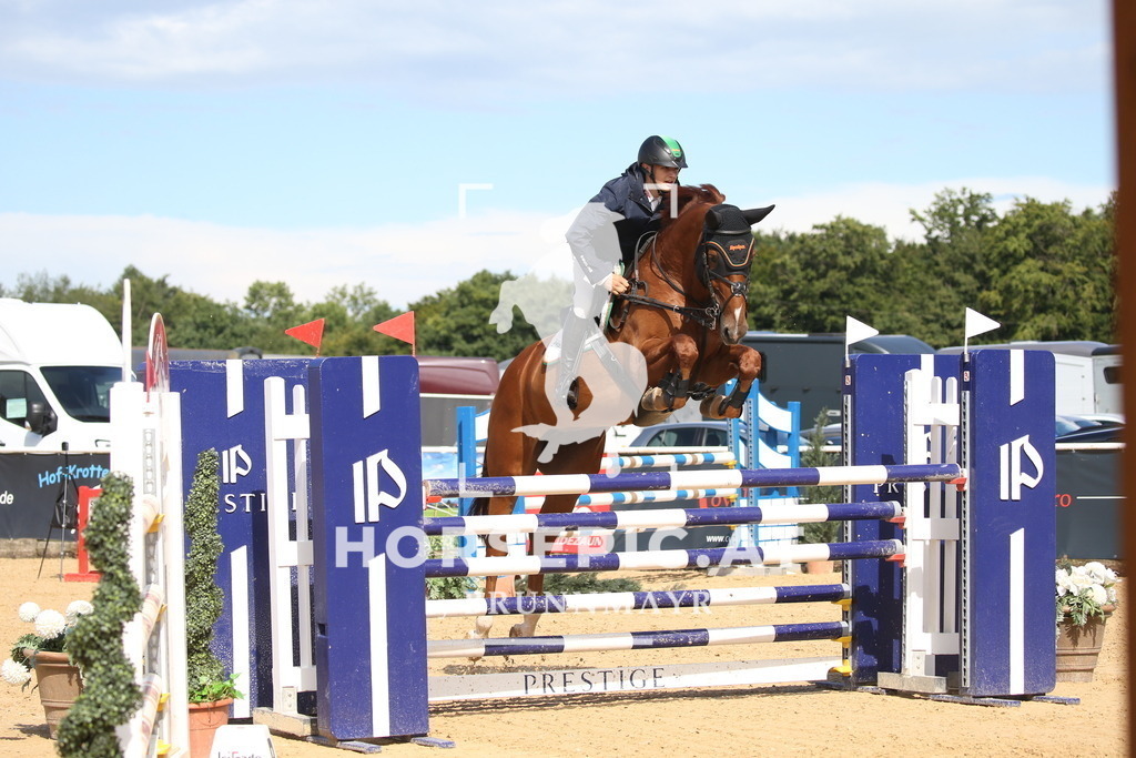 DL2Q3320 | Willkommen bei Brunnmayr - Design & Fotografie – Ihrem Spezialisten für Reitturniere und Pferdeveranstaltungen in Oberösterreich, Salzburg und Bayern! Seit über 17 Jahren sind wir leidenschaftlich dabei.