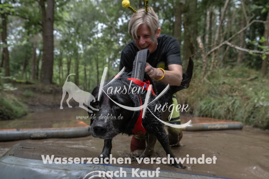 1338_ZZ95065 | kk-dogfotos