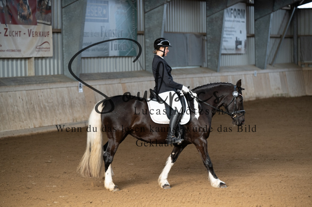 A7V05252 | Pferdefotograf