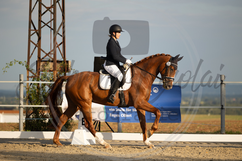 994A0253 | sabrinanicolaifotografie - Realisiert mit Pictrs.com