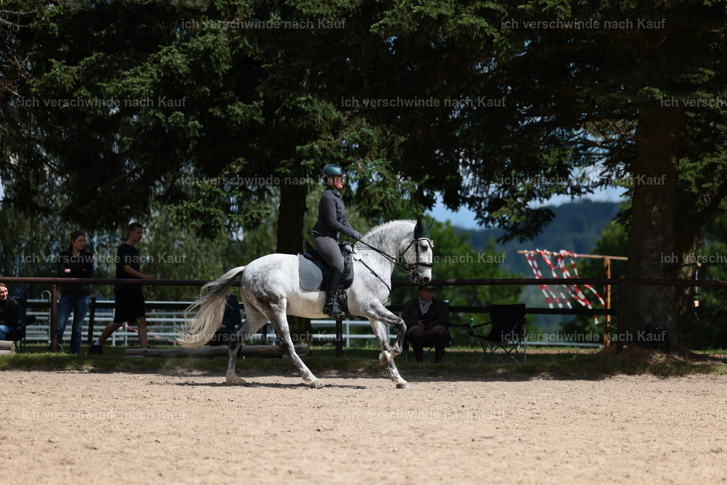 KlasseL_Stoibphotography_CAM22851.JPG | working equitationturnier fotograf videograf stoibphotography marixx film working equitation deutschland reitsport turnierfotografie eventfotografie equestrian events
