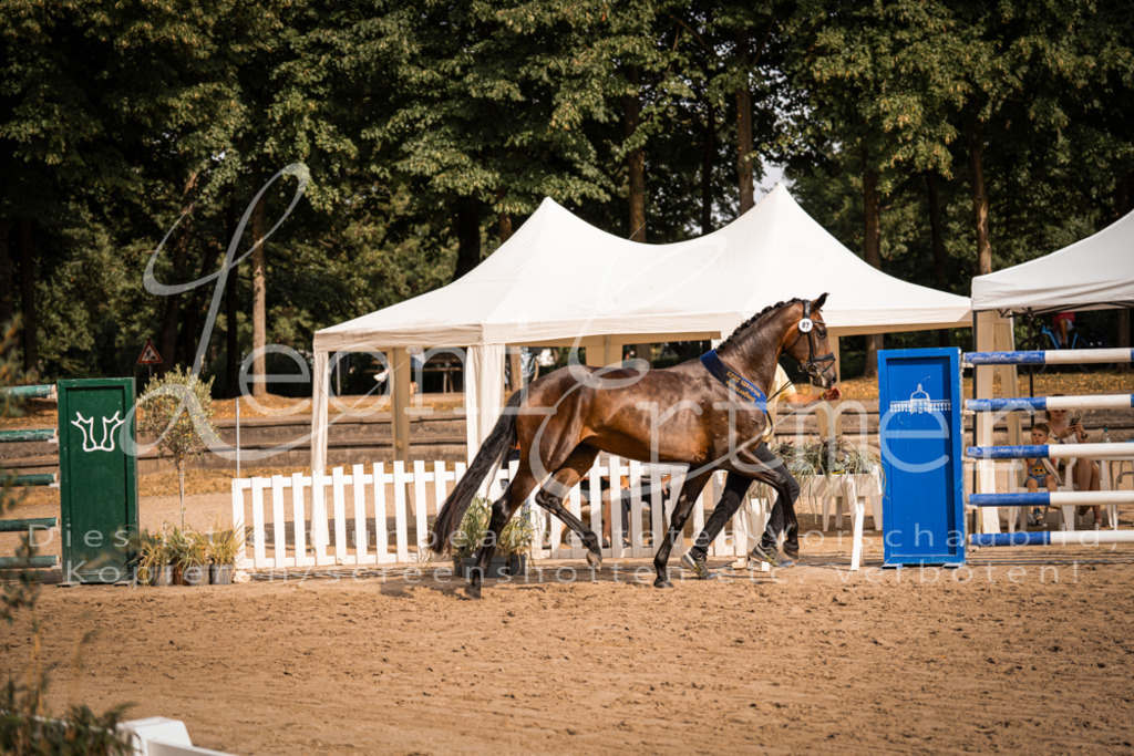 FrER00250 | Leoni Ertmer Photography - Realisiert mit Pictrs.com