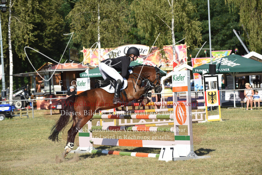 DSC_5419 | Pferde- und Turnierfotografie in Westsachsen. Pferdeportraits, Auftragszeichnungen und intuitive Kunst.