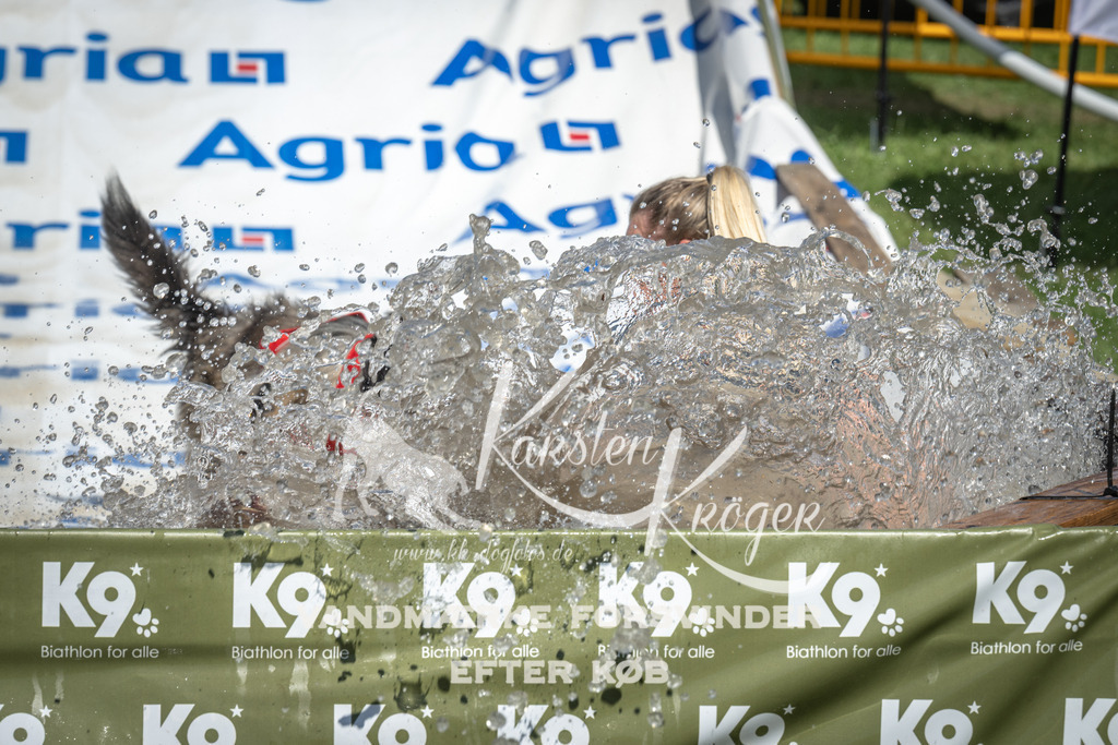 1428_ZZ94281 | kk-dogfotos