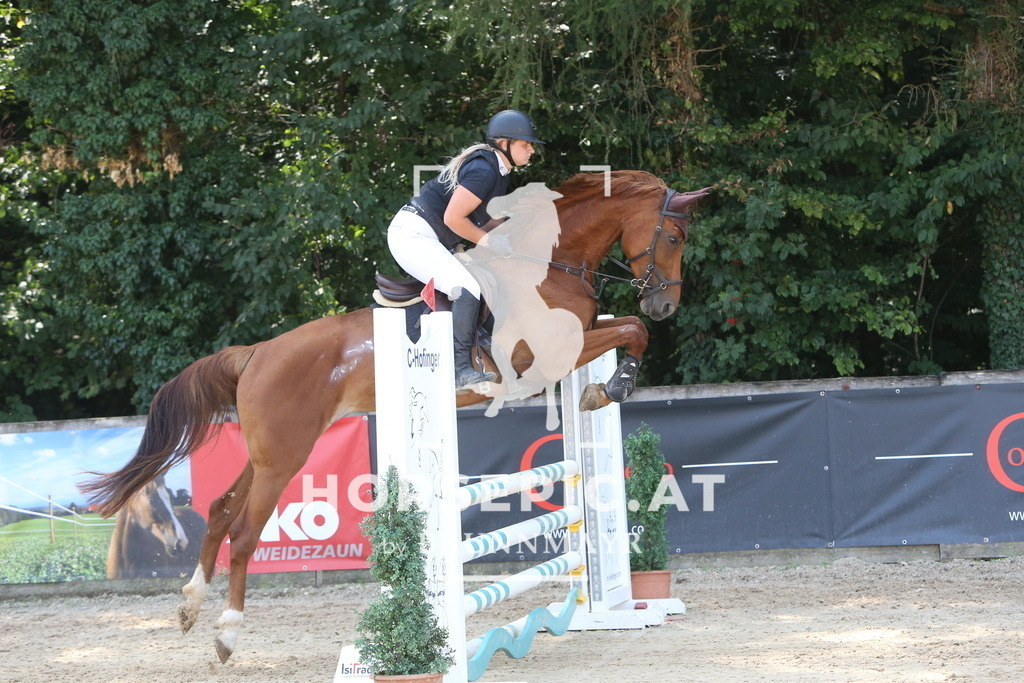 DL2Q1000 | Willkommen bei Brunnmayr - Design & Fotografie – Ihrem Spezialisten für Reitturniere und Pferdeveranstaltungen in Oberösterreich, Salzburg und Bayern! Seit über 17 Jahren sind wir leidenschaftlich dabei.