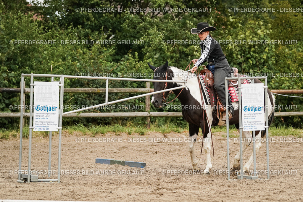 DSC08452 | Pferdegrafie