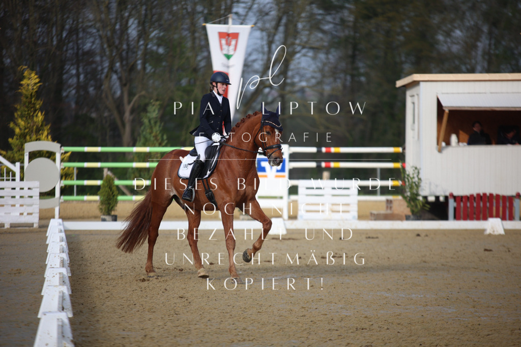 IMGT8347 | pl-fotografie