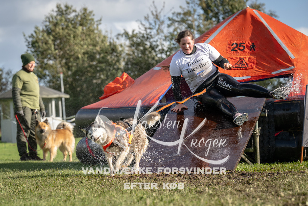 1408-93750 | kk-dogfotos